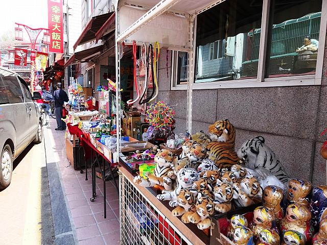 カメラ目線のタイガーたち