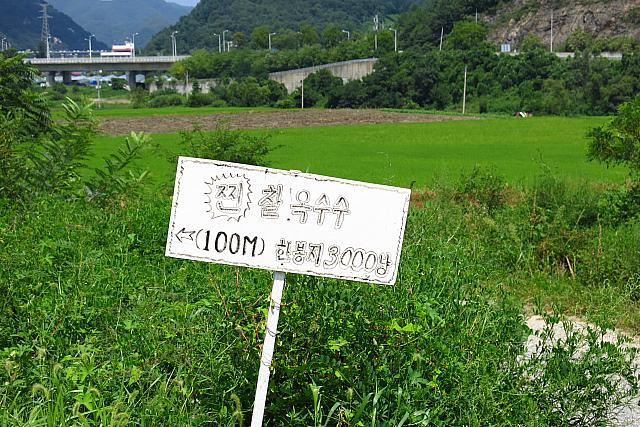 とうもろこし3000ウォン？