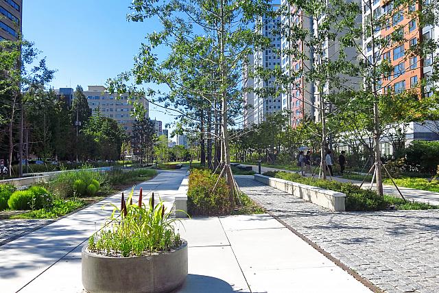 そんなビルの谷間にこんな公園が。こちらは麻浦駅のお隣り、孔徳（コンドッ）駅のすぐ近く。