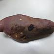 焼き芋（クンコグマ）。韓国にも冬は焼き芋の屋台が登場。あつあつの焼き芋を食べられます。