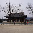 写真で見る旧正月のソウル　【２０１６年】 旧正月 ソルラル民俗遊び