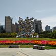 ソウル西部、デジタルメディアシティのある公園にやってきました。お花のじゅうたんが見えます。