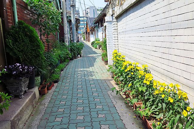 花の道