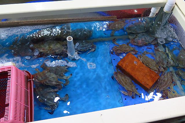 水槽のワタリガニ
