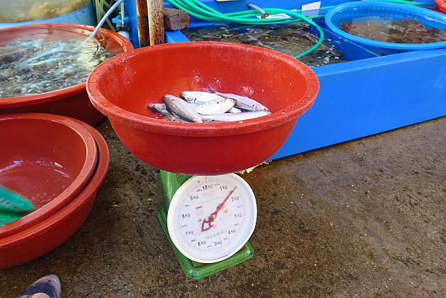 タライの重さも合わせて1.5ｋｇ