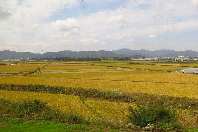 広々とした田園風景に癒されます