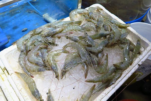 状態のよさそうな養殖のデハ（コウライエビ）