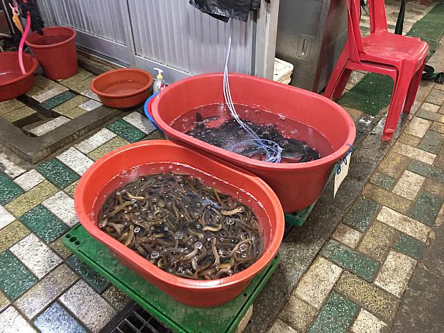 どじょうも売ってますよ～！