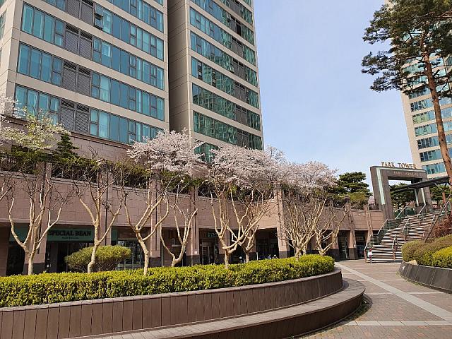 龍山の超高級アパートの敷地内1