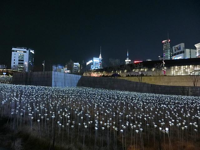 LEDのバラ庭園