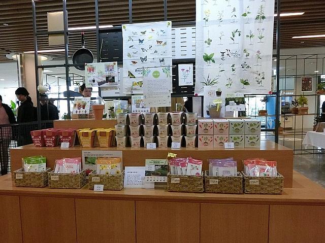 持ち帰れない種