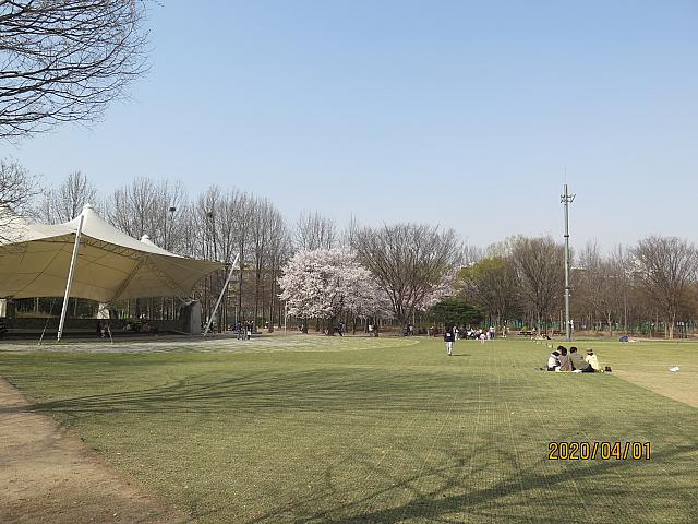 だだっ広いソウルの森の家族公園