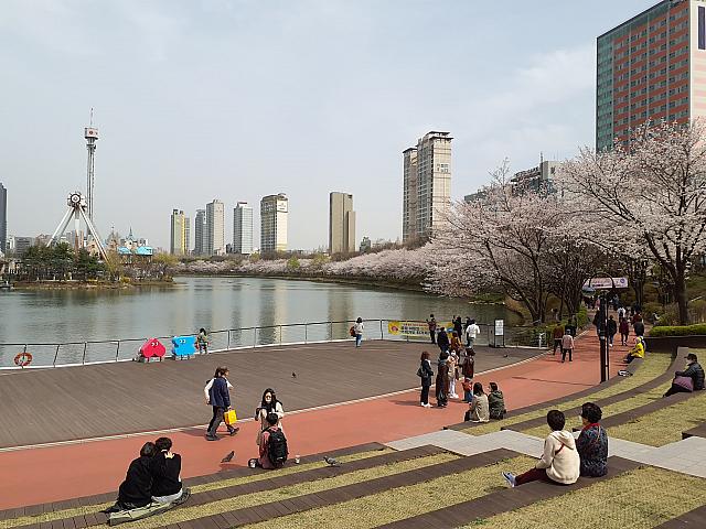 遊歩道の周囲には一休みできる憩いの場所が整備されています。