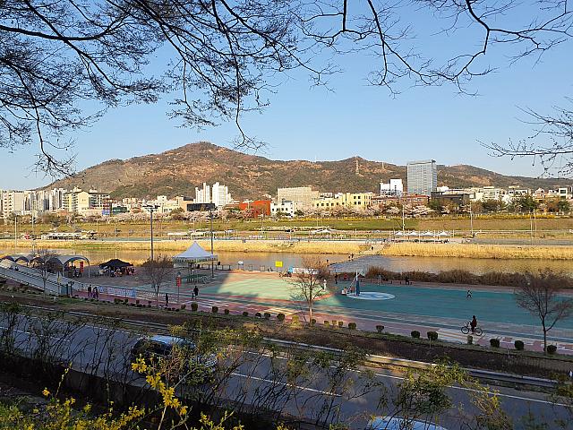 中浪川の向こう岸も、やはり桜並木が見えます。