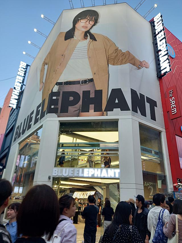 最近、主要エリアにがんがん支店展開しているアイウエアブランド、BLUE ELEPHANT~！