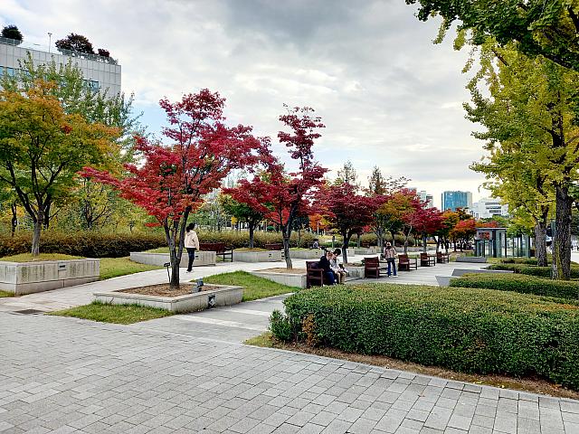 正門前の通りは銀杏並木が続きます。