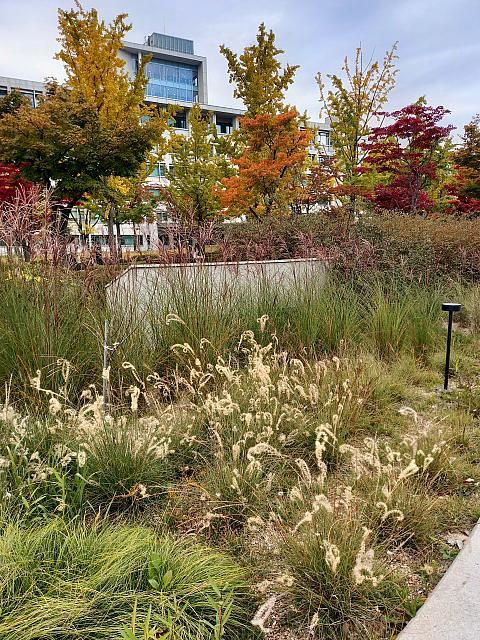 急に寒くなる前に秋を満喫してください~＾＾