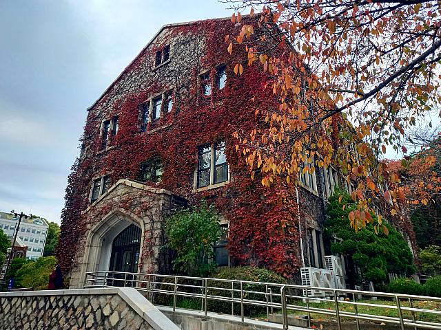 建物も秋色に~♪