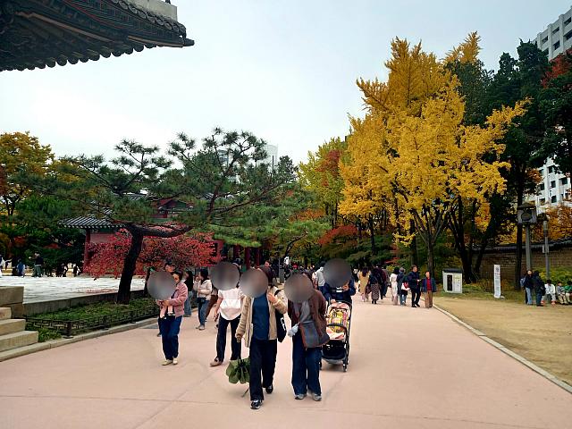 紅葉スポットとして有名な徳寿宮にも寄ってみると、