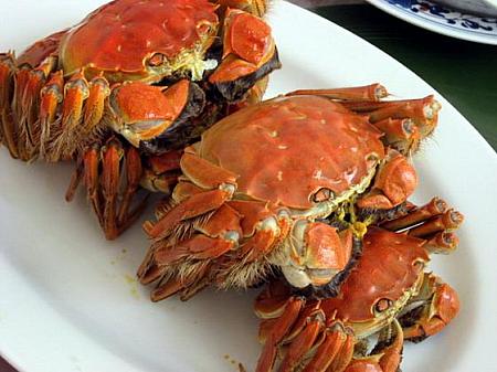 【期間限定】上海蟹の本場、陽澄湖で蟹を食べる(食事代は現地払い） 上海蟹 陽澄湖昆山市巴城
