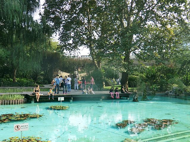 繁華街の真ん中とは思えない憩いスポット