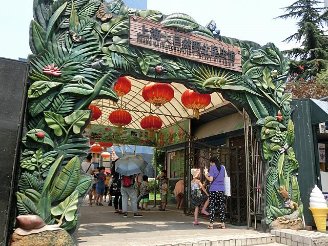 密かにお勧めです。「上海大自然野生昆虫館」