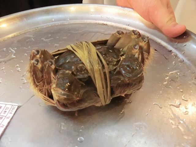 生きたものを見せにきてくれます