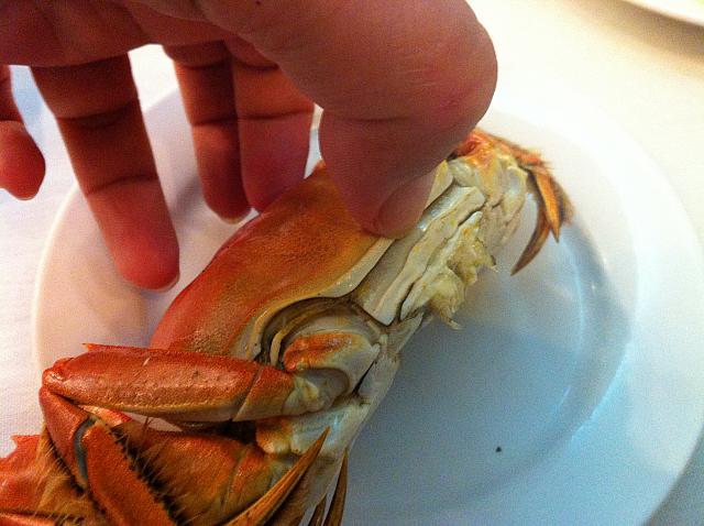 ここから爪を入れて、