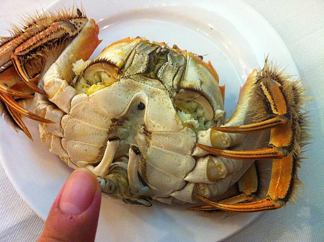 雄はこの三角のところ、雌は丸い腹側を取り除きます