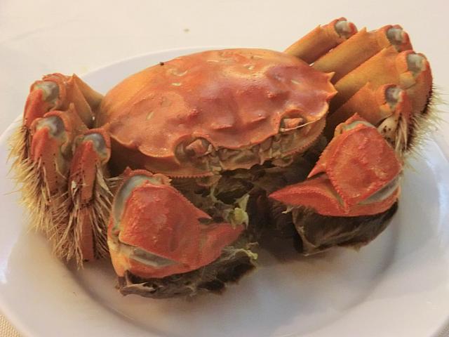 蒸し上がり後のほうが大きく見える不思議