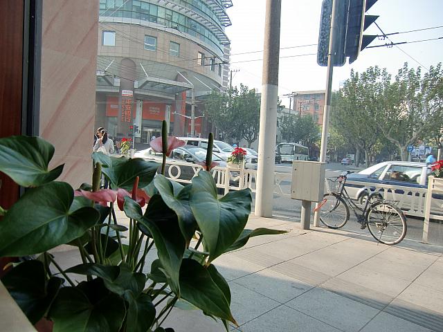 窓からの風景。