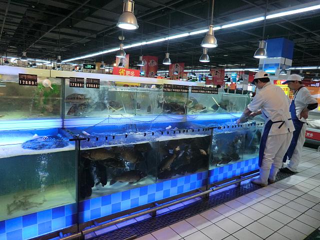 魚は基本生きたまま