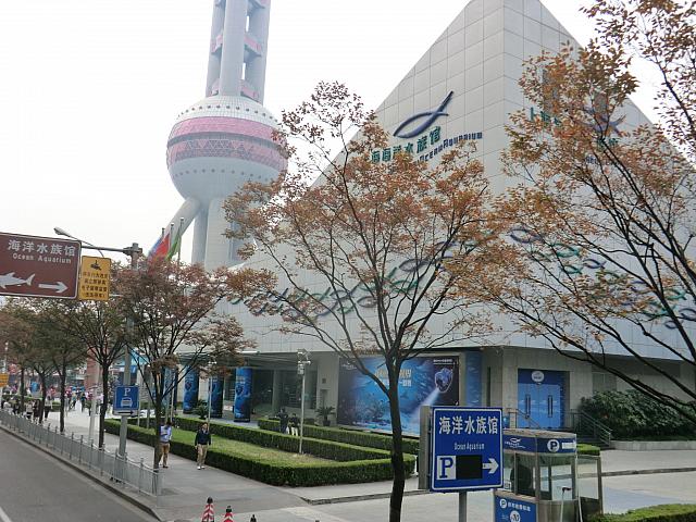 手前は水族館。テレビ塔も見えてきました