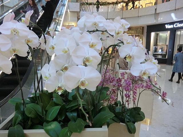 生花