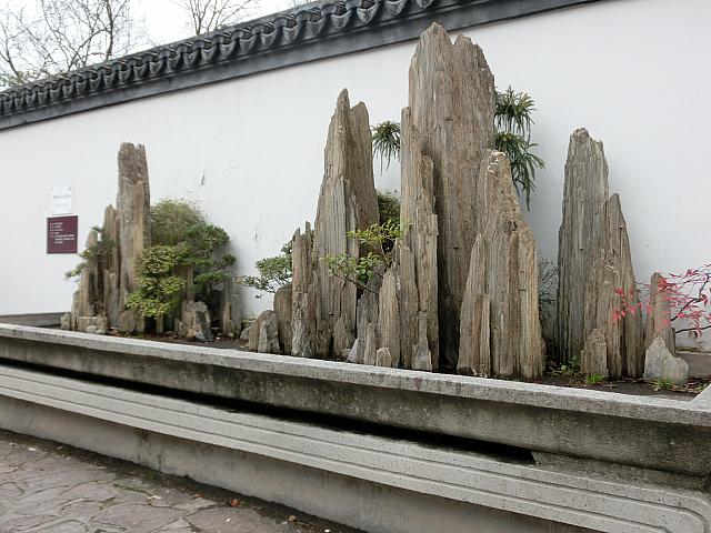 中国らしいデザインの盆栽がいっぱい