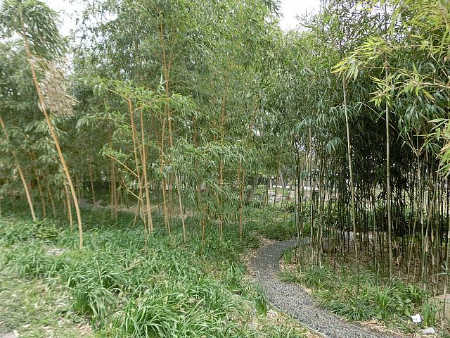 竹園