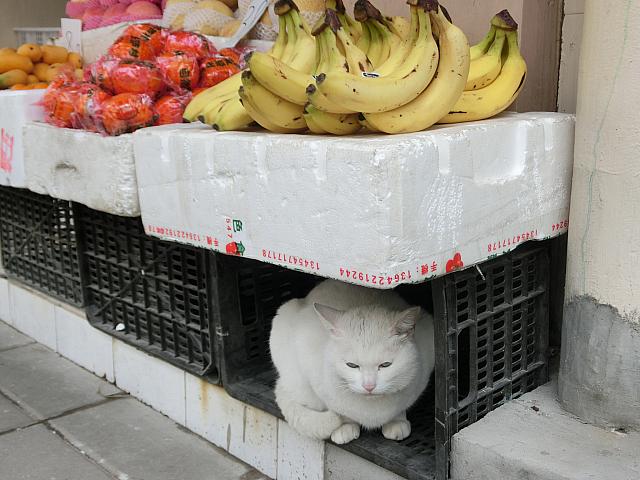 店番中