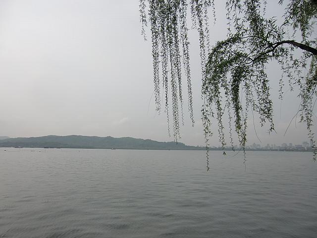 柳浪聞鶯。
