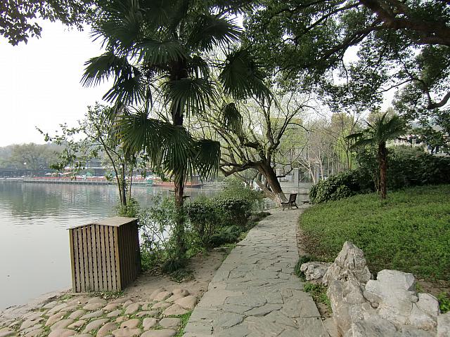 蘇堤の歩道。