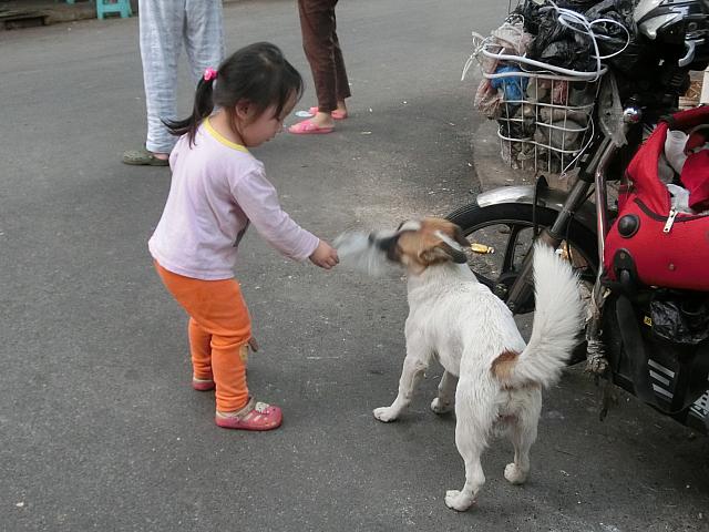 子どもと犬