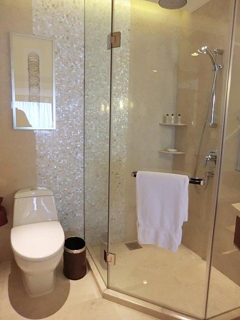 トイレとシャワーブース