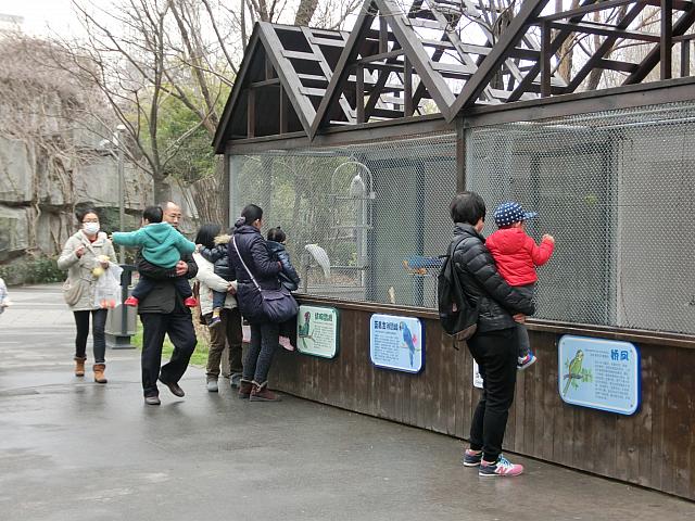 平日でも親子連れ、祖父母と孫連れがいっぱい