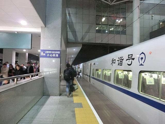 上海に帰ってきました