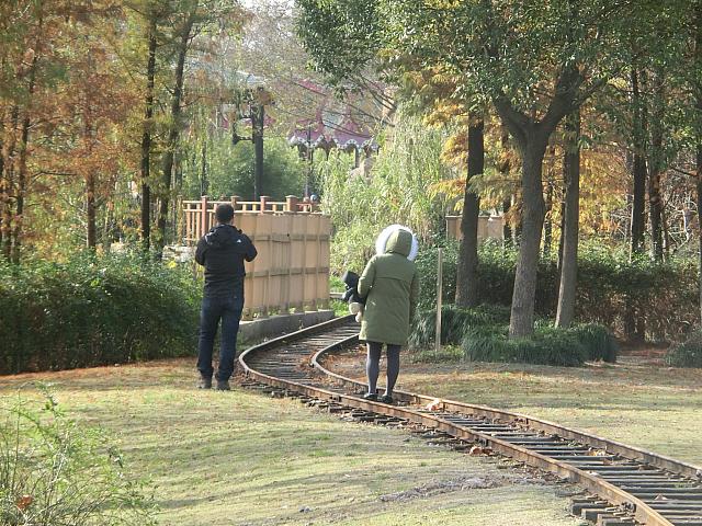 森の中に線路があります