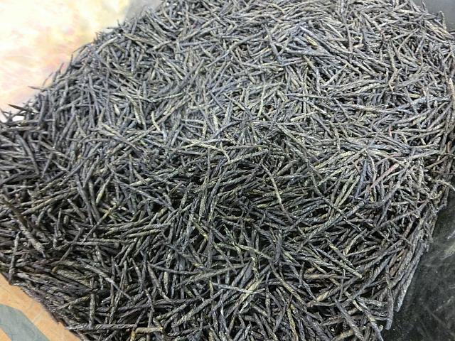 苦丁茶