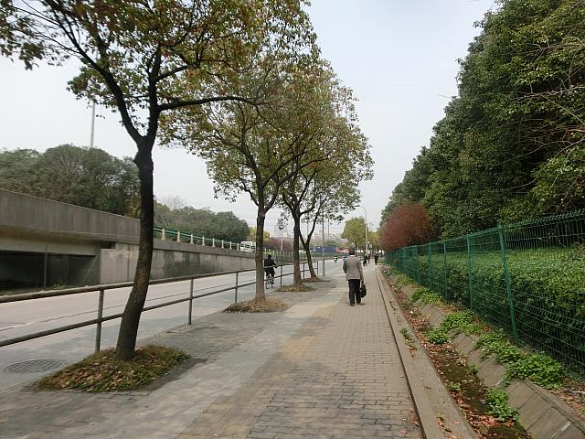 ②突き当たりの泰和路を左へ進みます。高速のジャンクションがあるので方向がわかりづらいのが難。地図どおりに