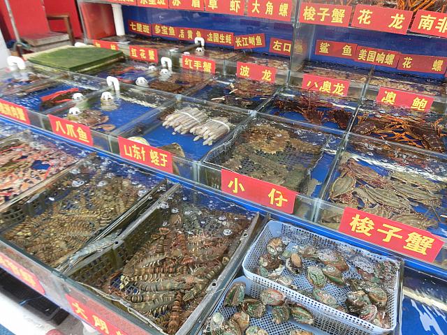 見応えがあるのは、生きた海鮮のお店
