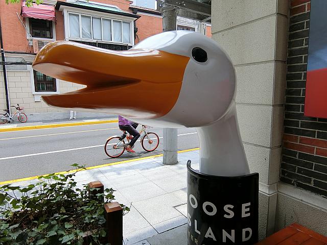 ガチョウ、目立ちます