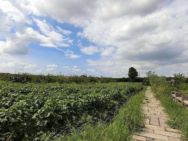 広大な遺跡保護区