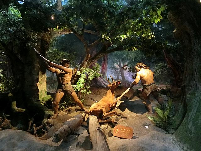 石器時代の人々の生活を紹介
